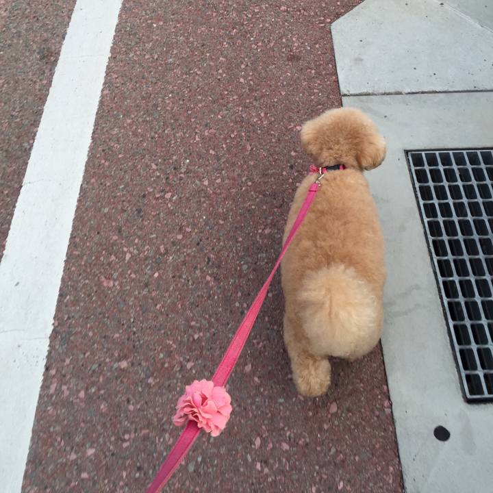 2000f871 d2c6 4386 8f97 f407158b15d4