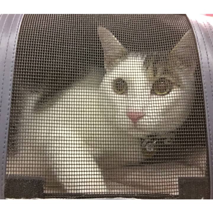 20013793 234e 47f8 85aa db26a18c38ea