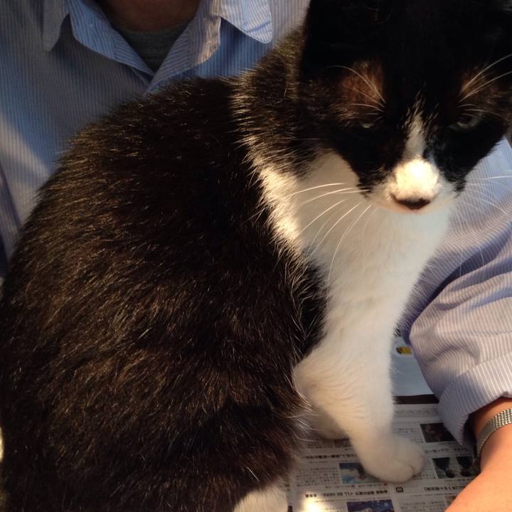 20019642 6f53 46fa bcee c9d61b057663