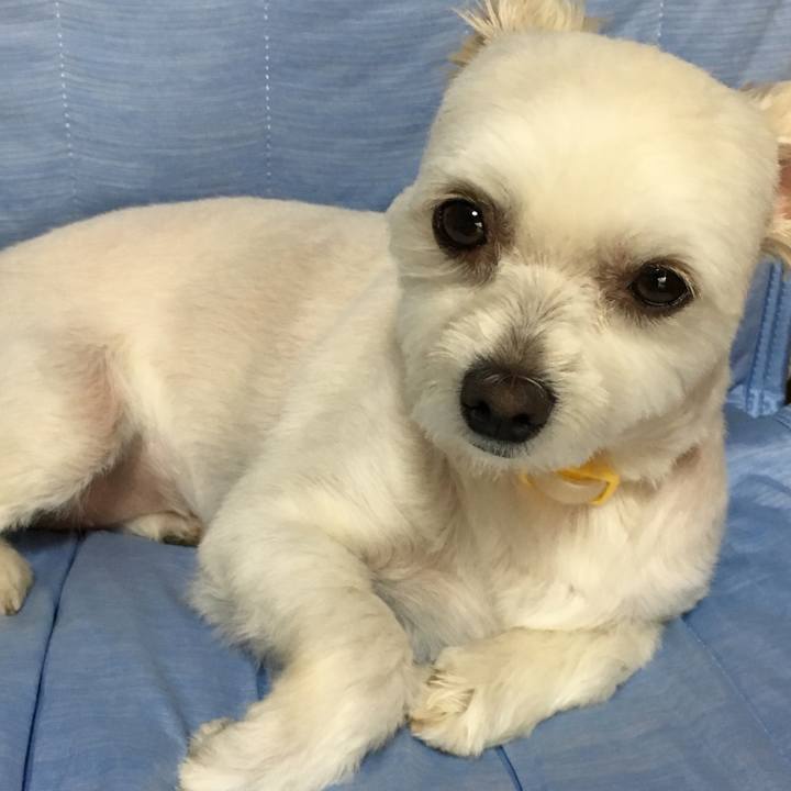 2001acb9 2aab 42db bd3b 0d1541304a7b