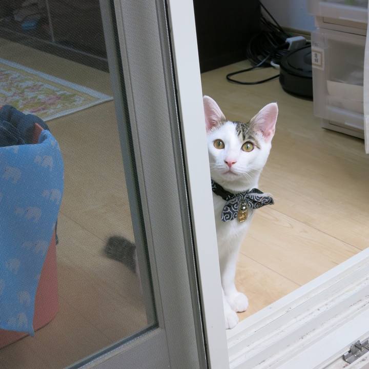 2001afbd 2c7f 4a84 bc98 2f9301761c68