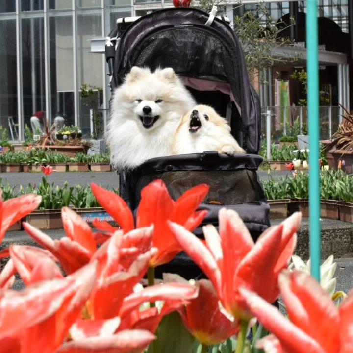 2001bff1 d740 47df 9c89 33ed1165f9f4