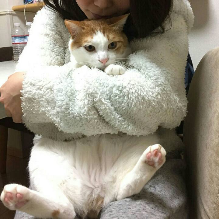 200380bf 1157 4d5c 9833 eb9665285e24