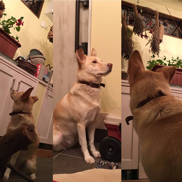 2003a113 81c7 44b4 aa27 8111cf0fc67e