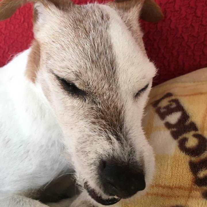 2003ef4a c2bf 43dc af26 524c2c17752f