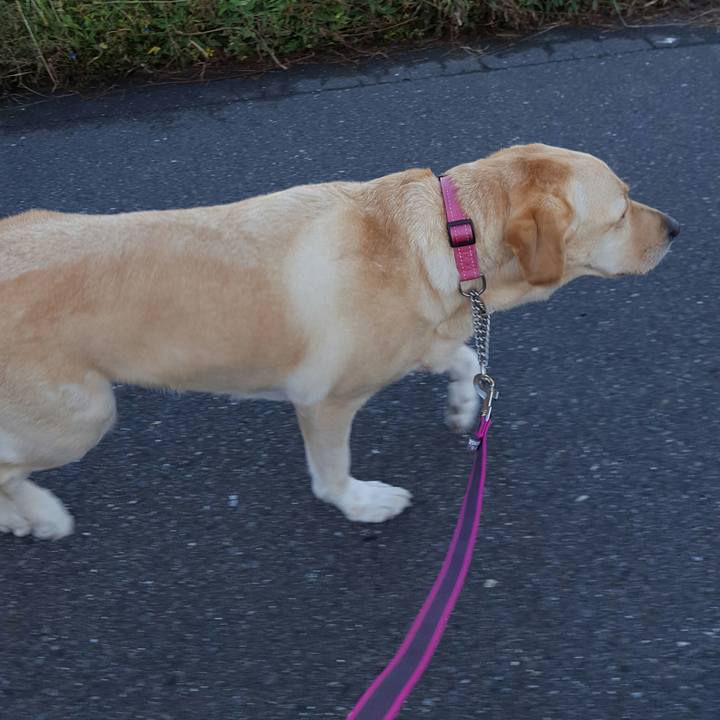 200422ac 16e8 4f1b a94d c76db1c628f9