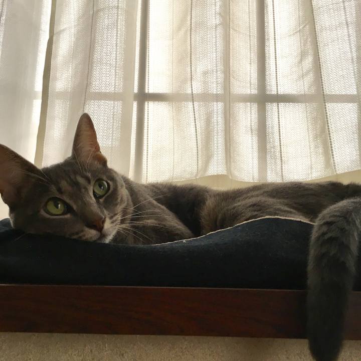 2004f31d 94f0 4469 9ee2 3720f35060e3