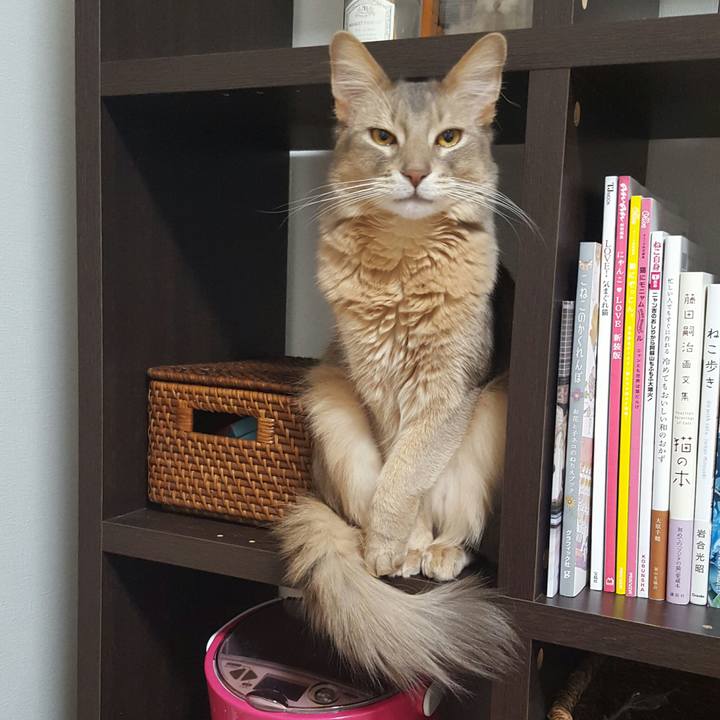 200537b3 b429 4964 8fea 782c0631aad9