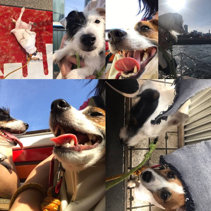 2005b745 9ece 4541 945e 1c54f94c8dc0