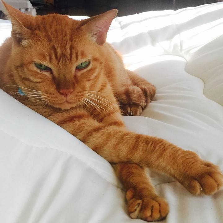 2005bab6 b2f7 4dab 852b 0f5e6a4553fc