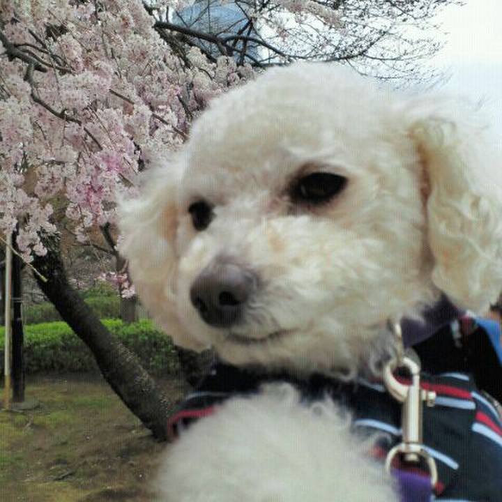 2005dd33 eb1b 4676 995c 5241aed86109