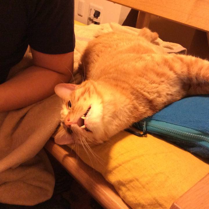 200620d6 12be 4c64 8cc3 bd9935132763