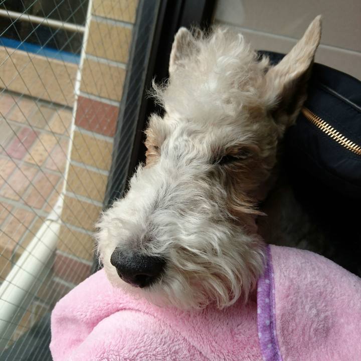 200622b0 9460 451a 87ed 3993e5251a64