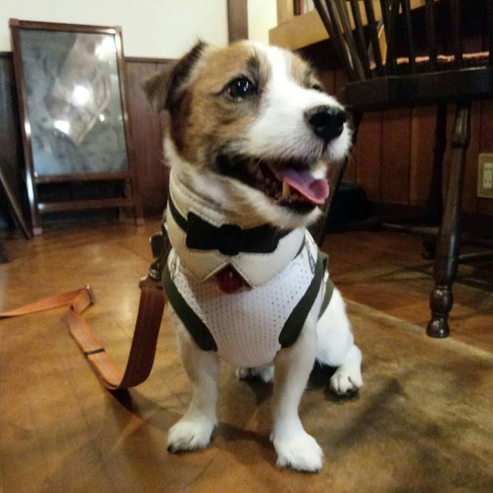 20068107 4910 4a27 ac59 f89bb6733b9c