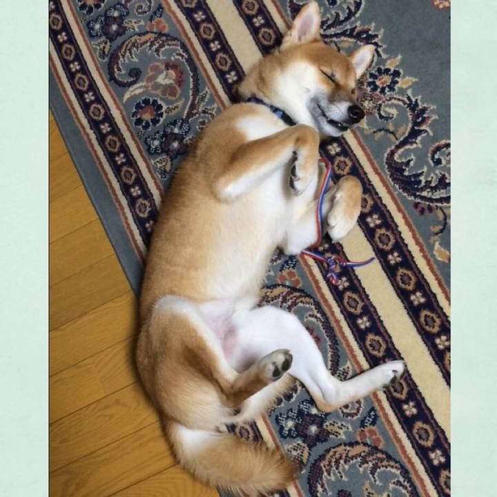 2006826d 5fb8 48f5 8a97 e953bd58eaf4