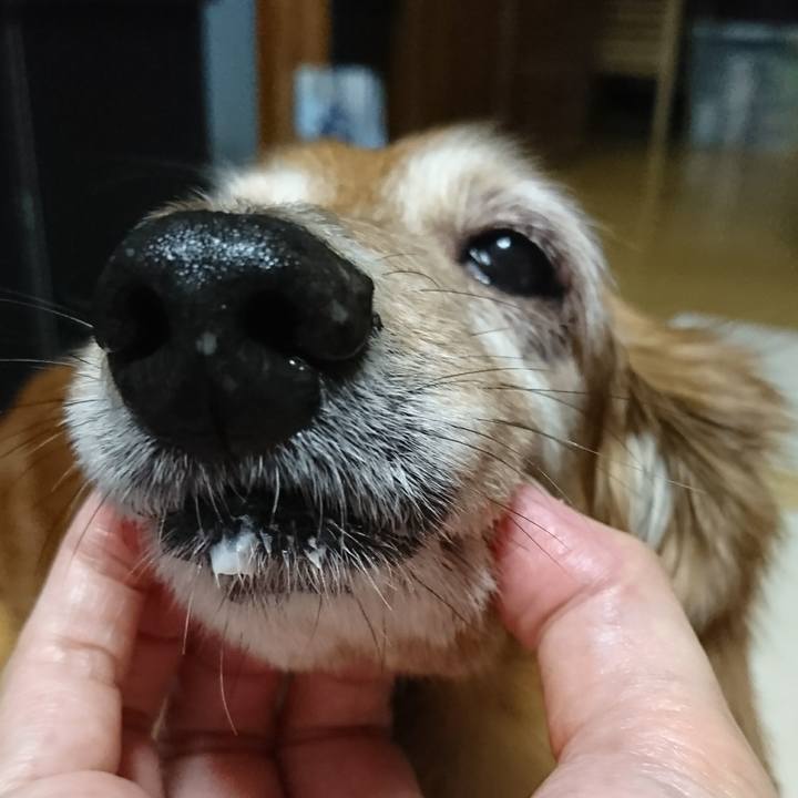 200696ac 42e8 4b4a 8be7 5546db541403