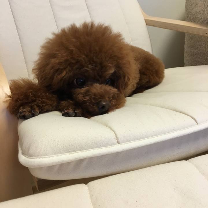 2006f249 14db 4b9d a654 b9aa975c79a9