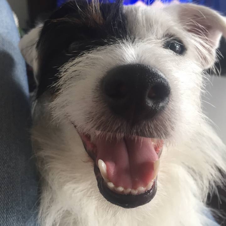 20070d41 e7c8 445f 9d29 7aead379ea1f