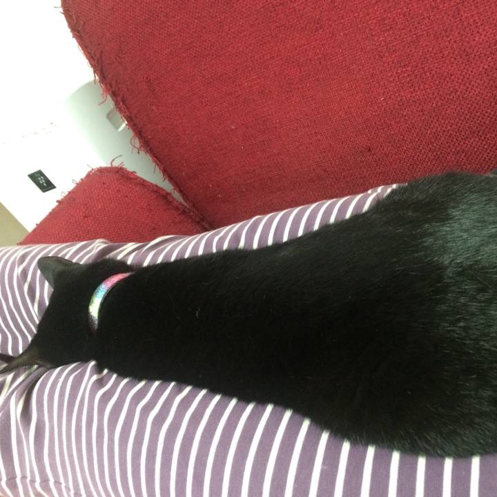 20073b67 97c6 43f6 aad4 1531c81fc48b