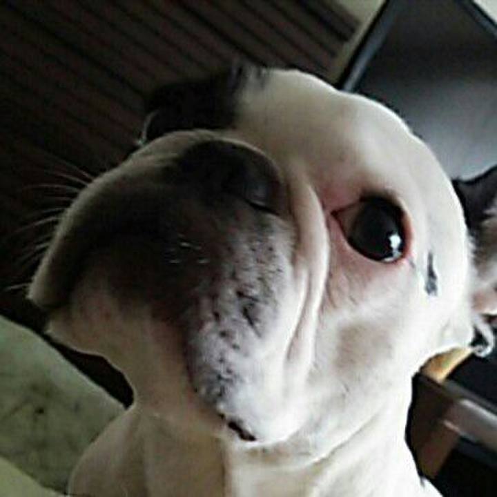 20073e2a 489d 4129 9485 23fadb5c0f76