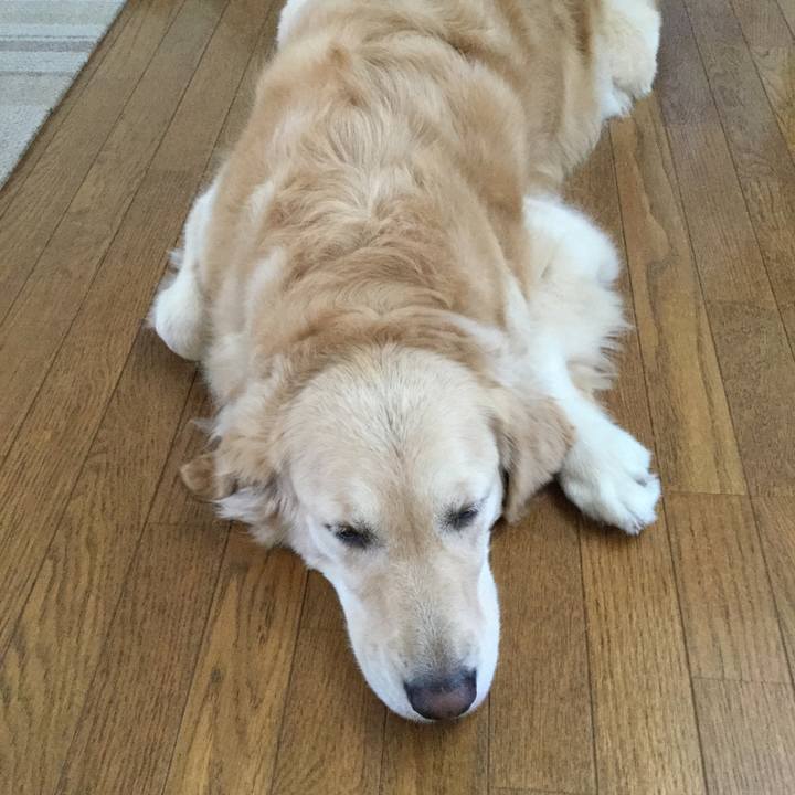 20079bf6 9d7c 4ef7 a473 bffbbc2b6c37