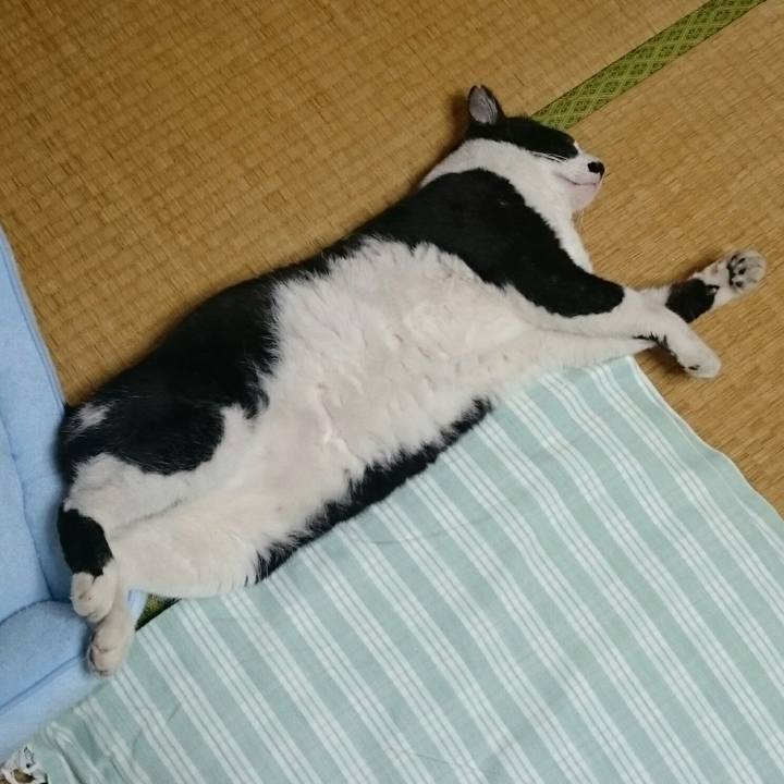 20094df8 1be2 4ae5 99e7 a5b41ac4da0d