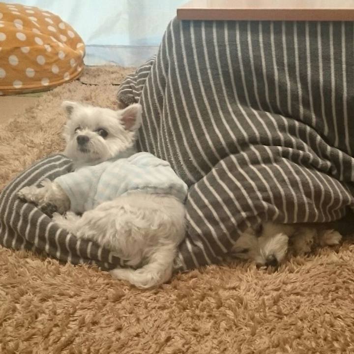 200a14be 7e17 46ef afd2 48b91416beeb