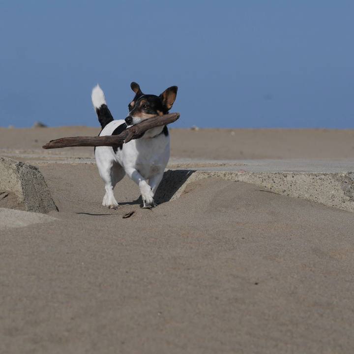 200a8079 0614 4120 8183 bf548cb8f577