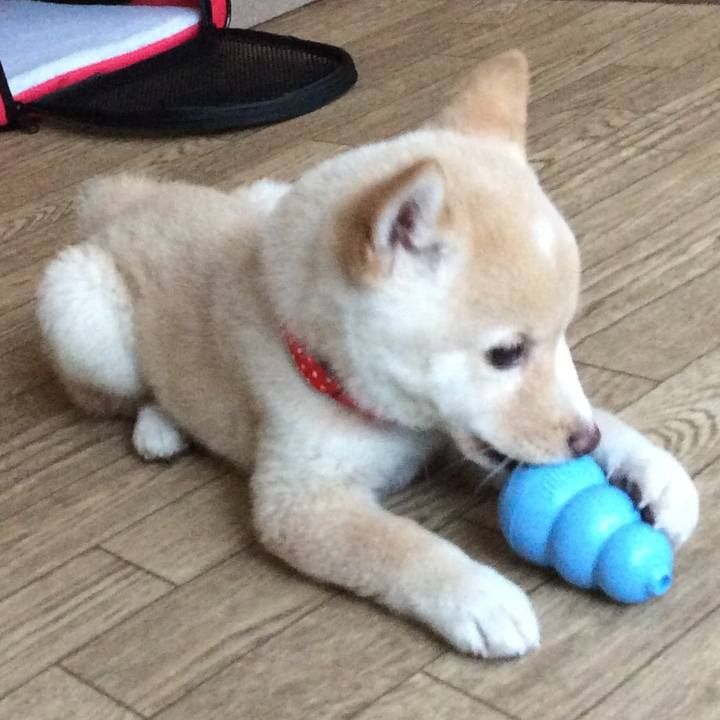 200aecd9 f82c 4d6d b4aa db5824bf8e29