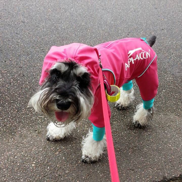 200afa4c b5de 4ec9 8e89 30c144e2b259