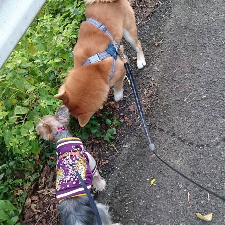 200b7fbf 497a 4a00 8ce9 a9b7af58d560