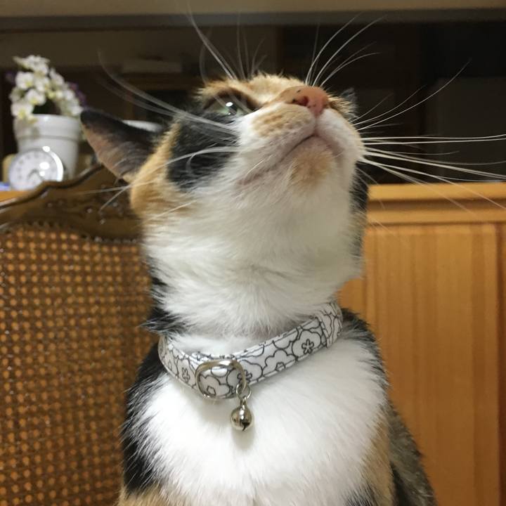 200c1f2b 97f9 4093 9943 4c67985e5398