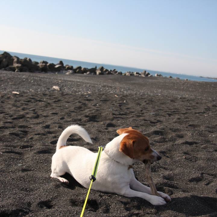 200ca3cd 5c45 43df aae7 4be849c194b7