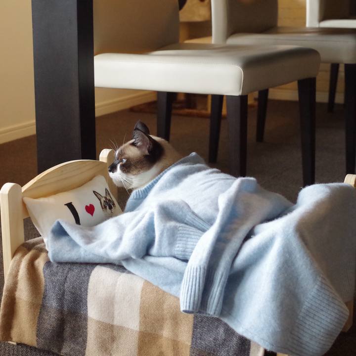 200cbed1 733b 4bdc b7b7 a611ecc21e8c