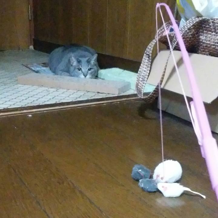 200cc065 9080 45d1 abb0 b8b49e90fd72