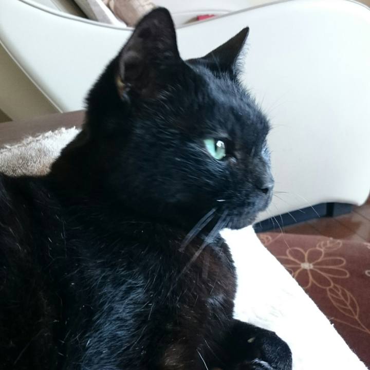 200cd313 ac92 4f28 8511 4b26986f4bf0