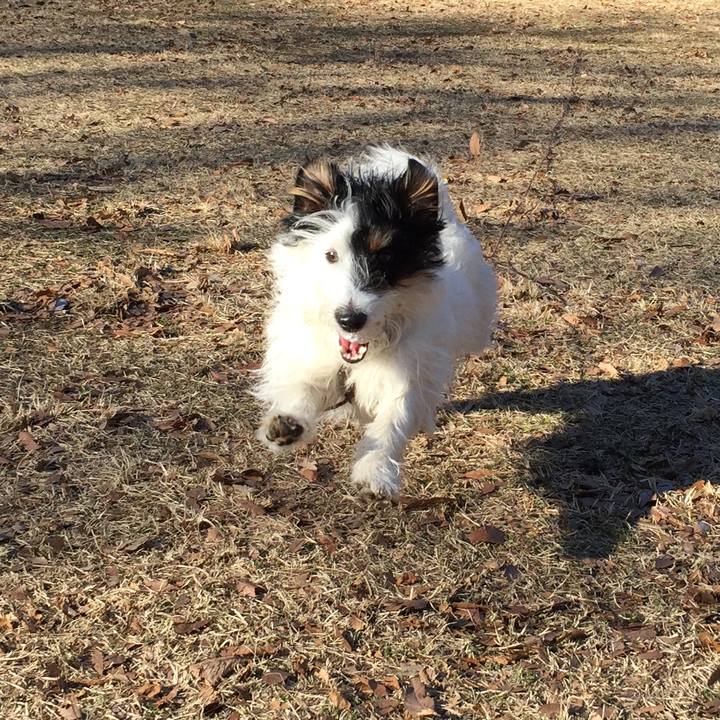 200d5a4e 221a 4773 9a44 f3c6dea8aa2b