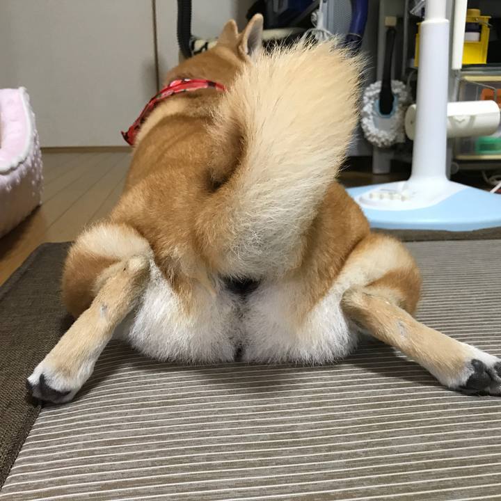 200d97d5 173b 416f 95f0 f9ce198bbc2d