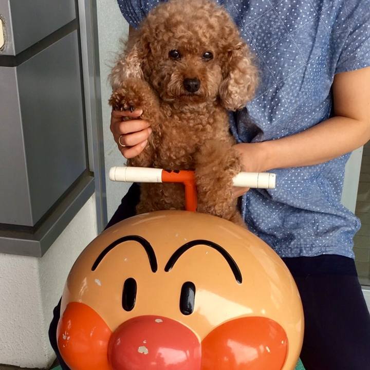 200dcf03 3af9 4c13 ab74 3be25e1a0c23