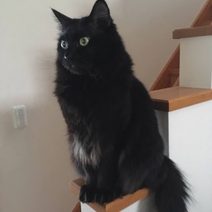 200e5036 b919 42f9 9b1e fcb217299b20