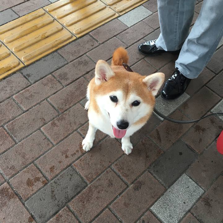 200e6d79 9f8a 4667 aba0 b3f1cdd39ad7