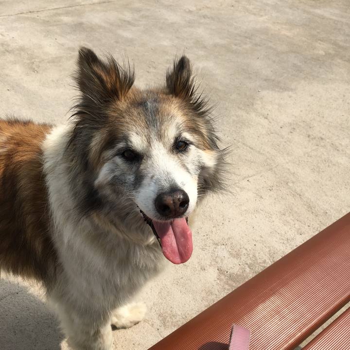 200fec22 7acf 44ae 8950 d6702ec92d67