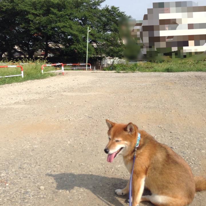 2010520d d6af 4f0a 86c4 d9ca90f15ed6