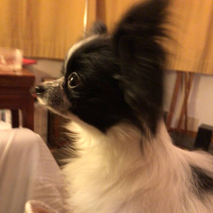 20105c80 faef 4f66 b74a 5564b52cd91f