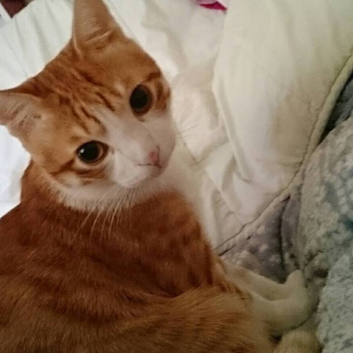 20105d24 c1f9 4e40 a47c d1aad68bf350