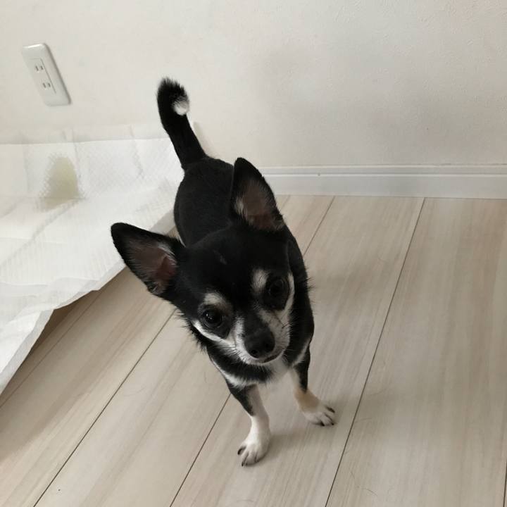 2010d20e 916f 4617 873b 9a71c07c88bc