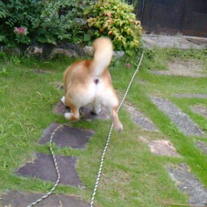 20115f55 9b00 4f70 b447 cc15d0b09df5