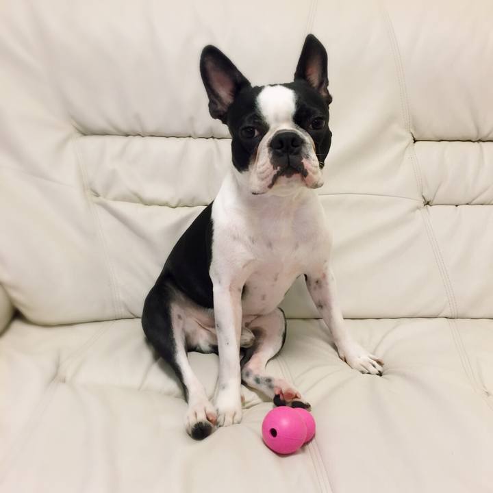 2011b308 fc43 44f4 8aec 0aa4e4d00809