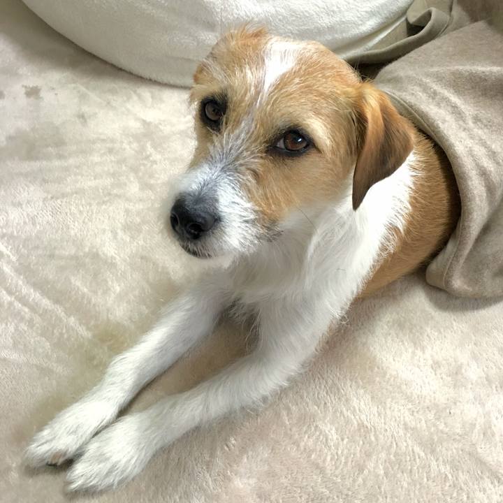 2011b4b1 8998 4536 b5f5 ae9a5c888090