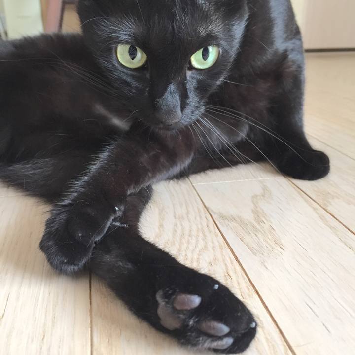 2011c50b 17b7 4a8f b05f 94de5068cc96